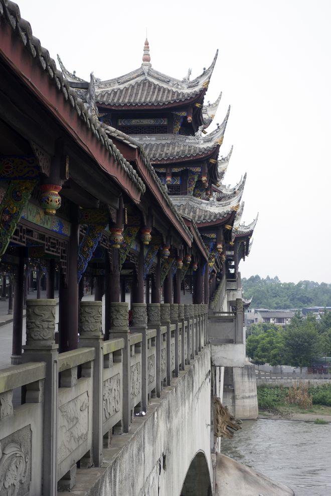 动物帮帮忙保卫家园